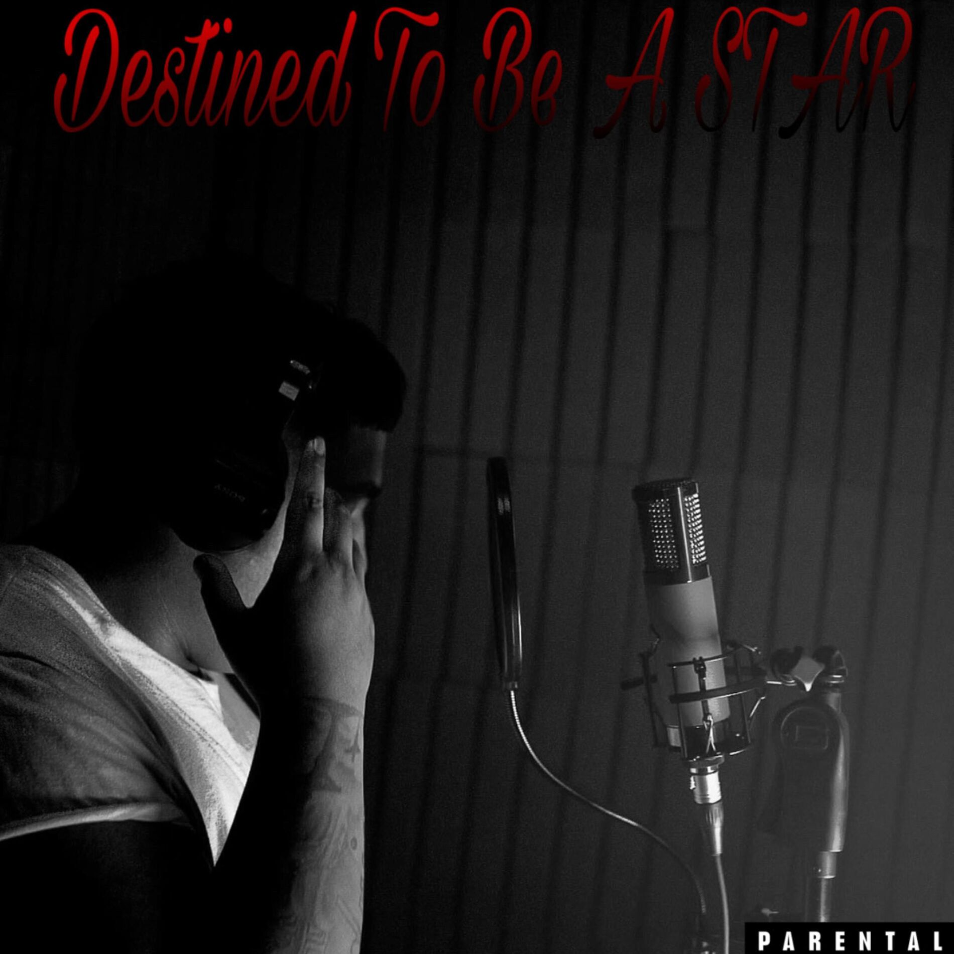 Album cover of Destined To Be A Star