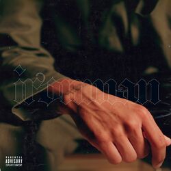 Cover of IronMan