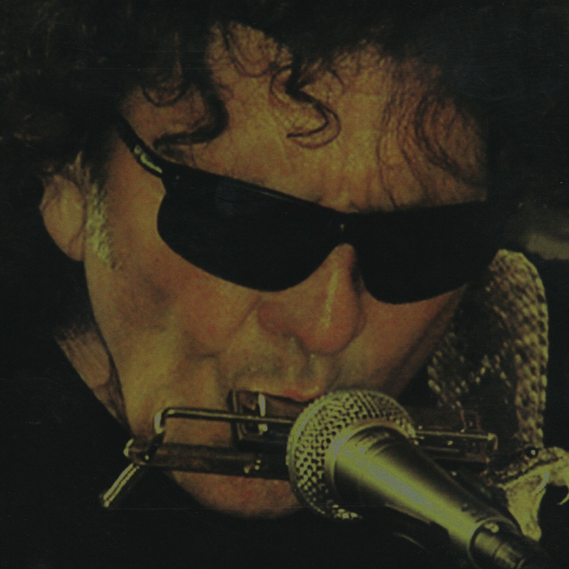 Album cover of The Shine