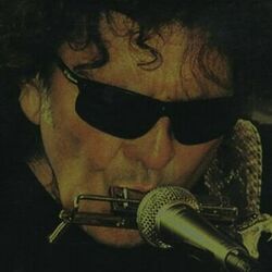 Cover of The Shine