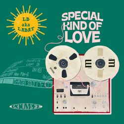 Cover of Special Kind of Love