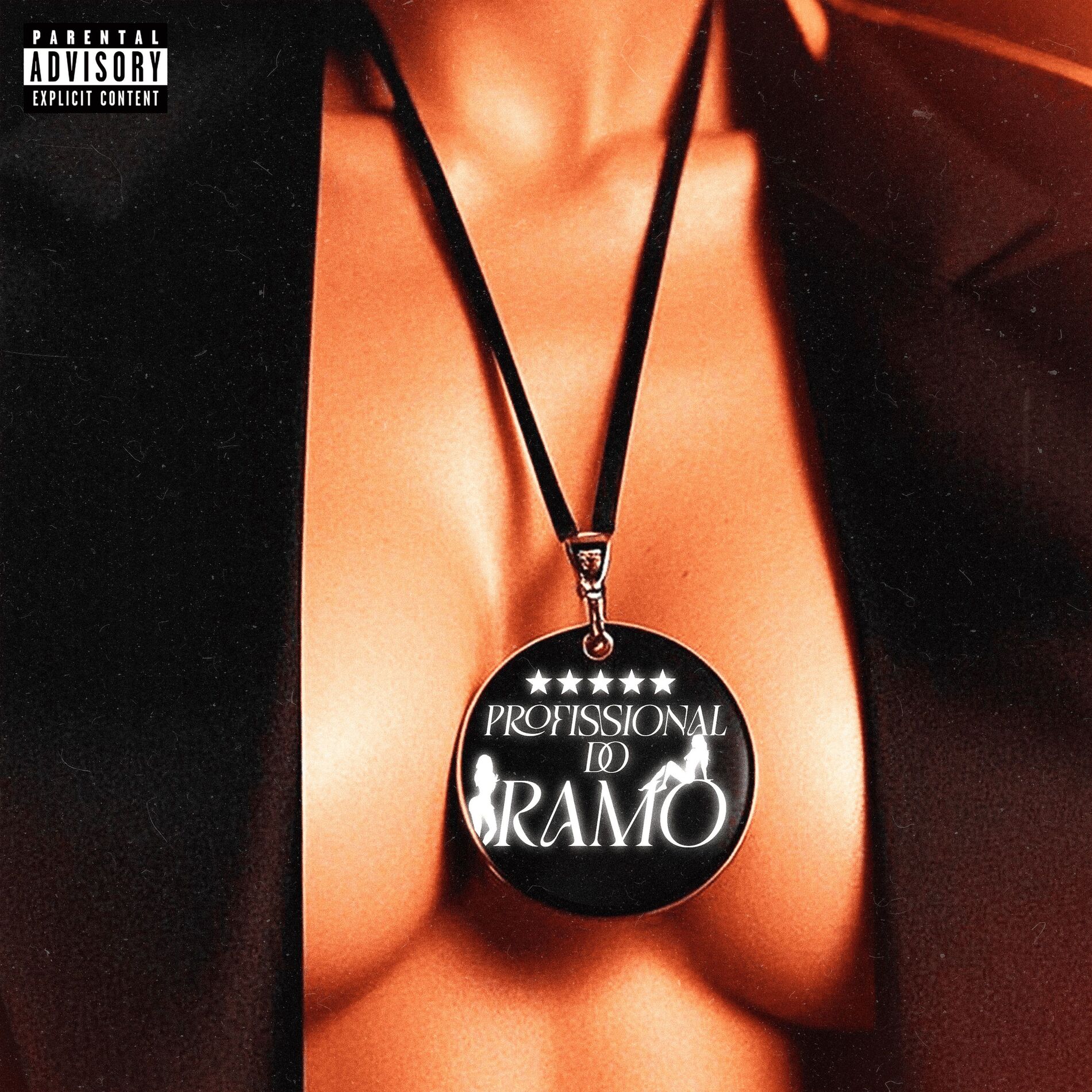 Album cover of Profissional do Ramo