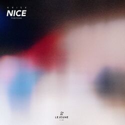 Cover of Nice