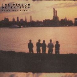 Still Not Sorry (The Best Of The Pigeon Detectives)