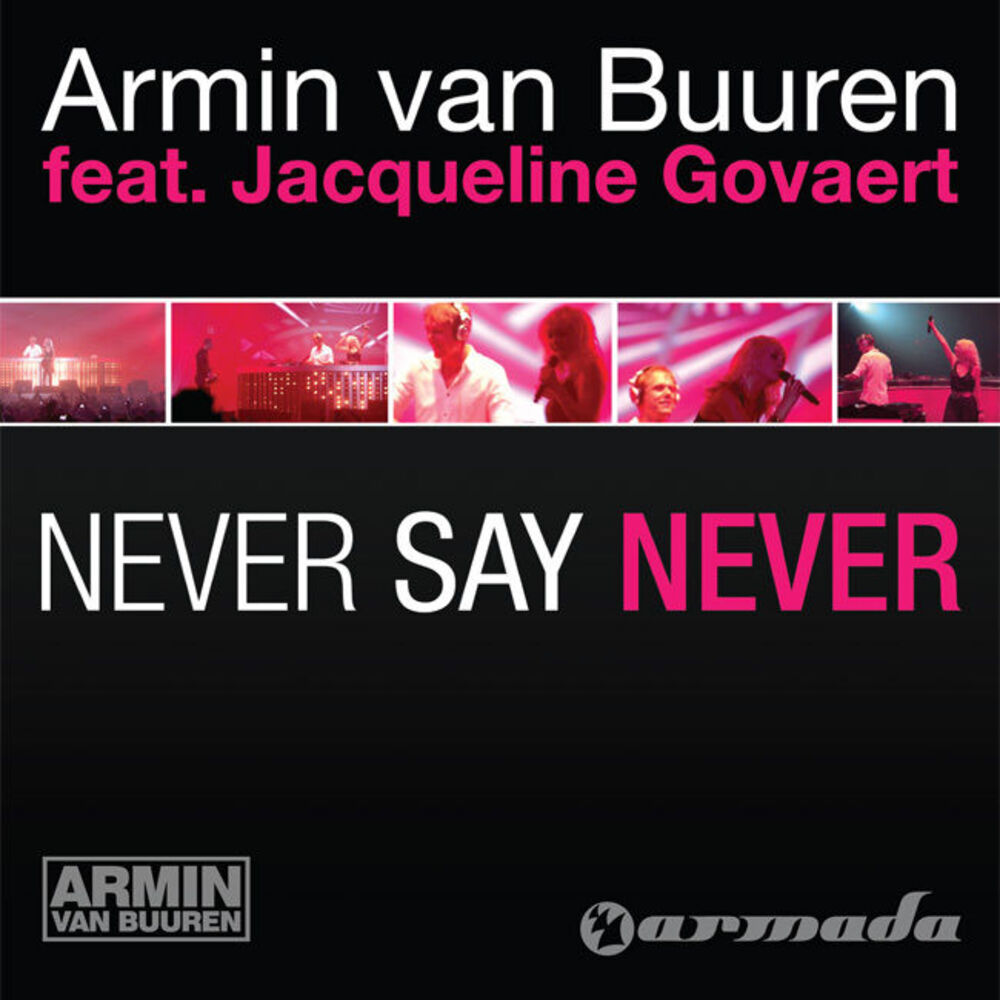 Picture of Never Say Never
