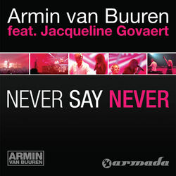 Cover of Never Say Never