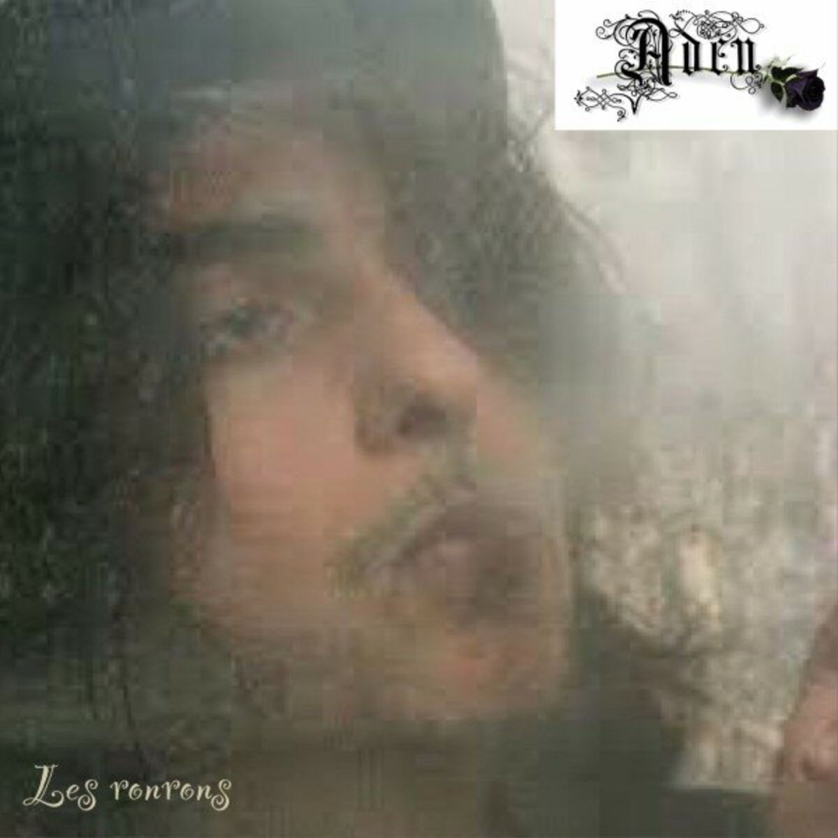 Album cover of Les ronrons