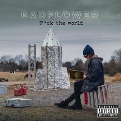Cover of F*ck The World