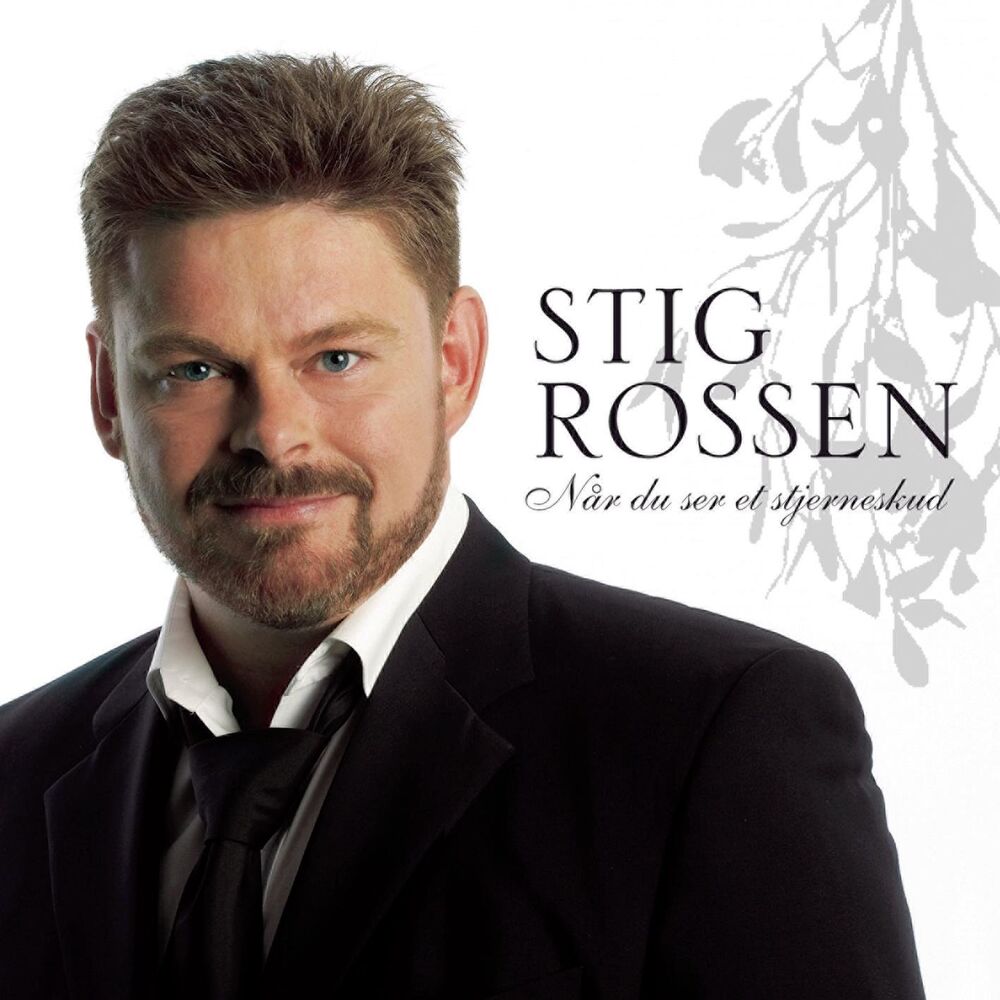 Picture of Når Du Ser Et Stjerneskud