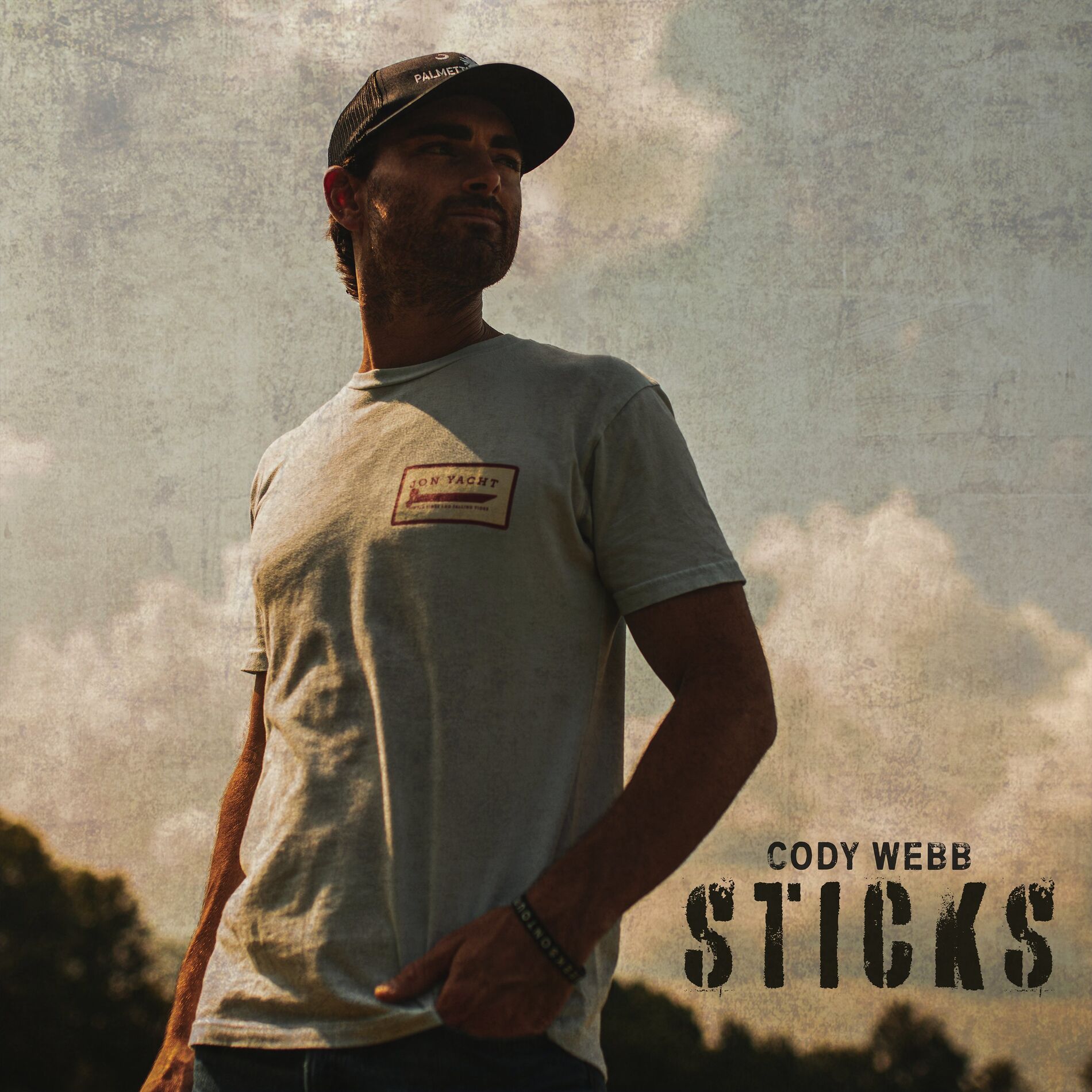 Album cover of Sticks