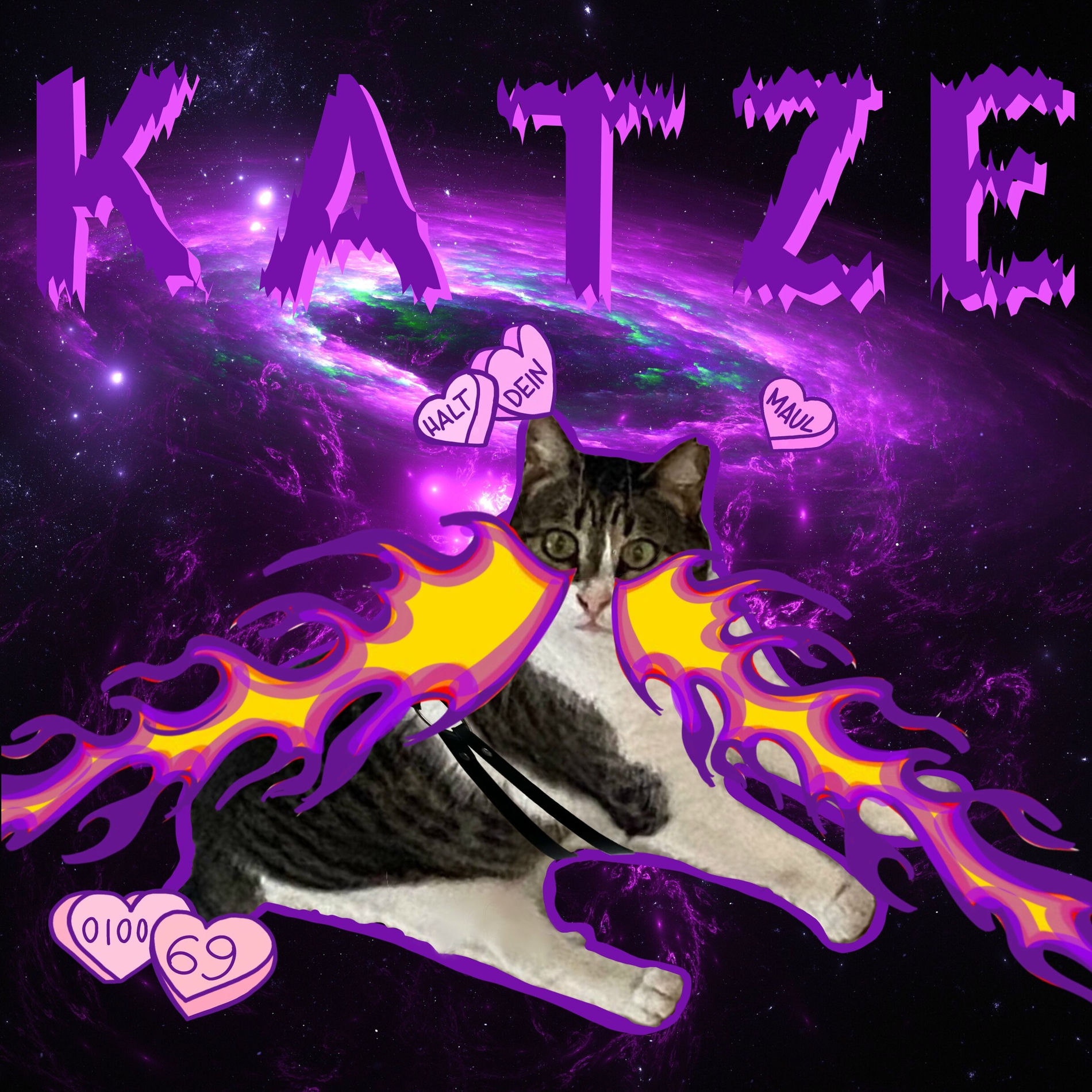 Album cover of Katze