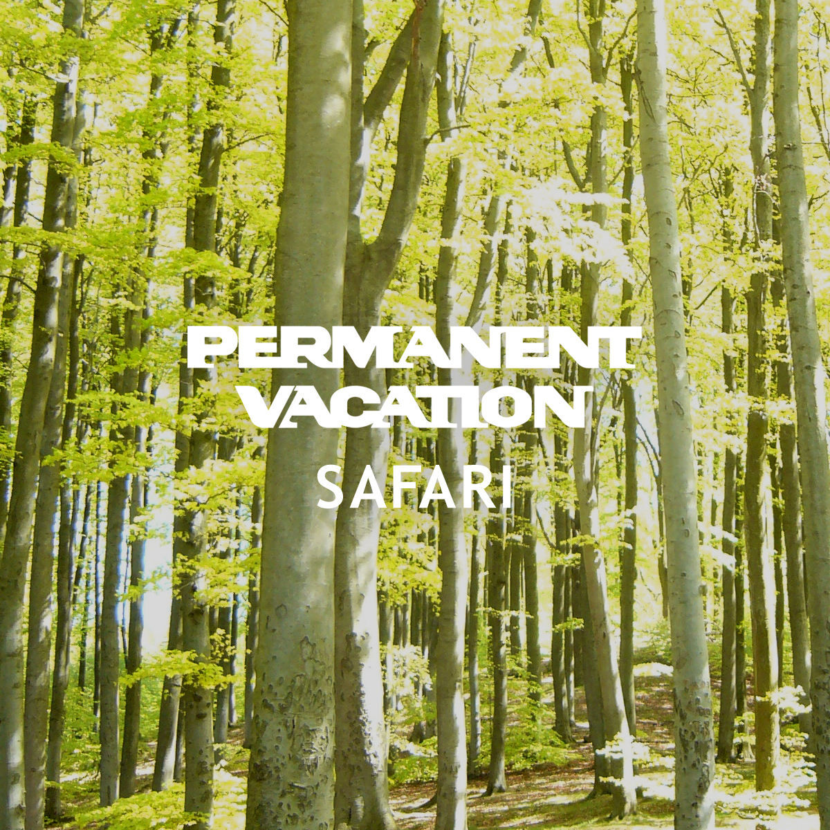 Album cover of Permanent Vacation Safari