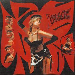 Cover of canseira