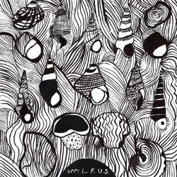 Cover of Walrus
