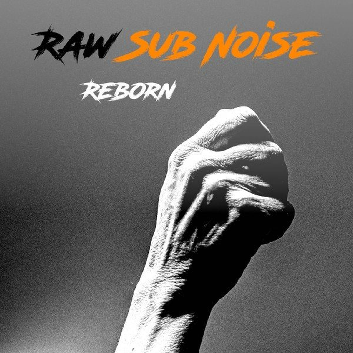 Album cover of Reborn