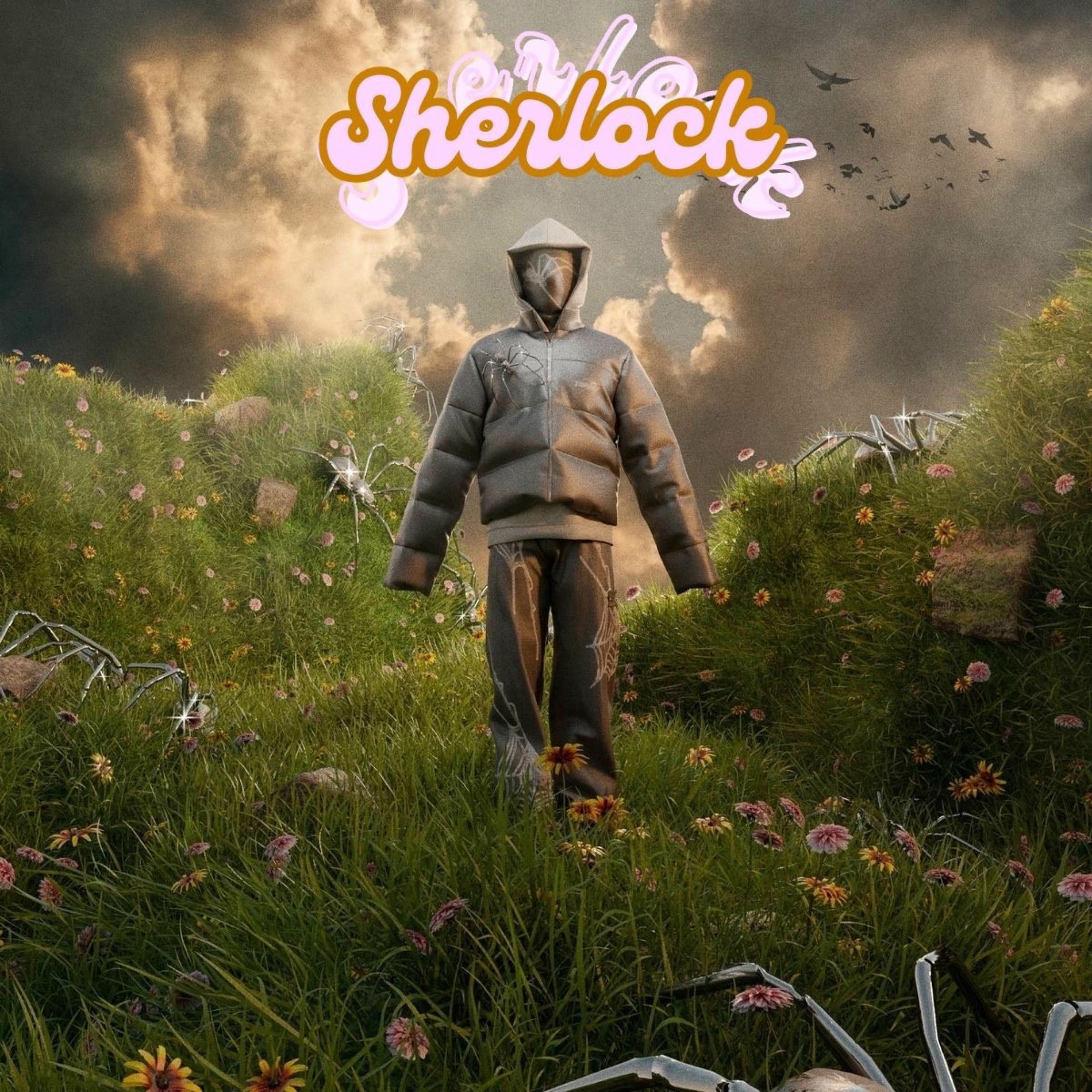 Album cover of Sherlock (feat. Baaghi) [Imda1 Remix Radio Edit]