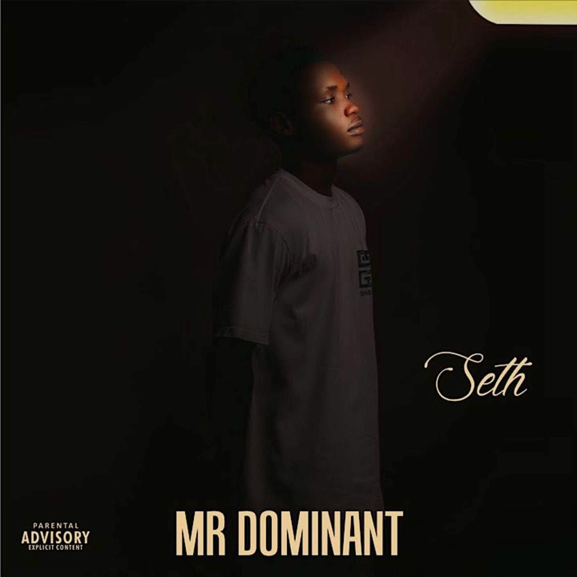 Album cover of Mr Dominant