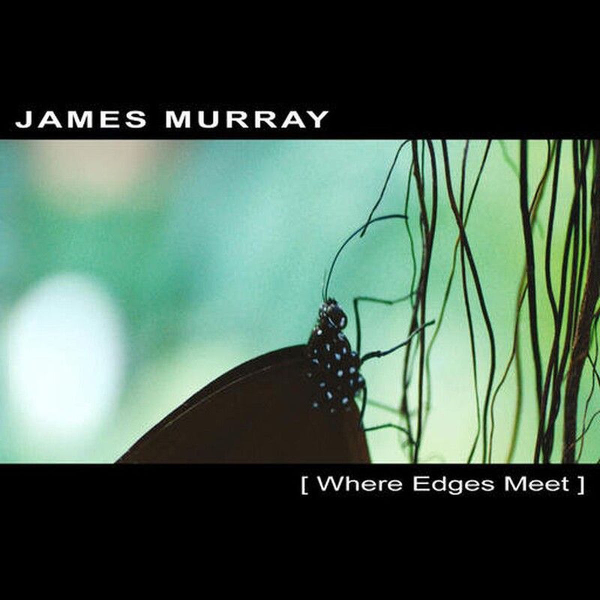 Album cover of Where Edges Meet