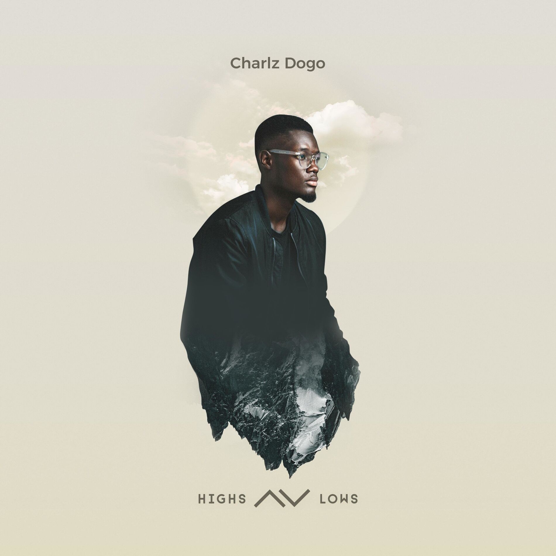Album cover of highs + lows