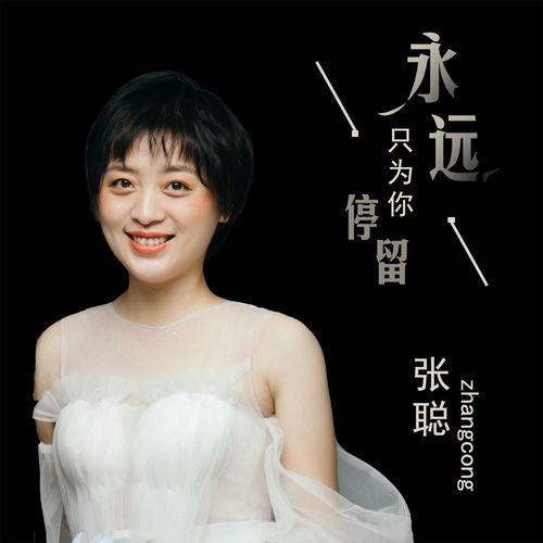 永远只为你停留 (DJ版)