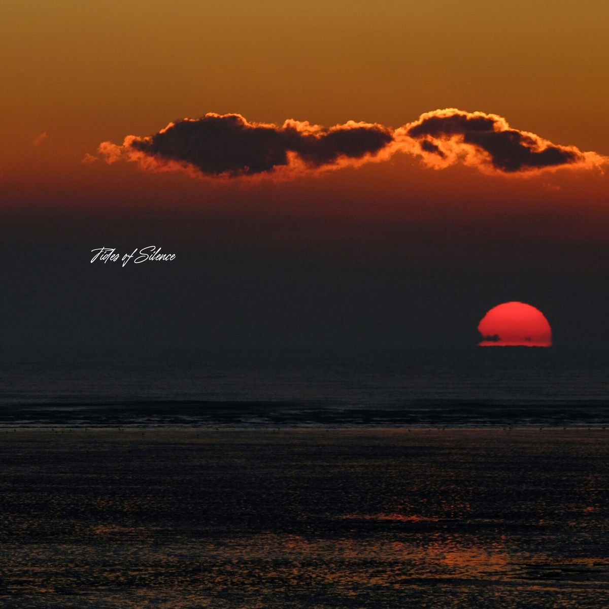 Album cover of Tides of Silence