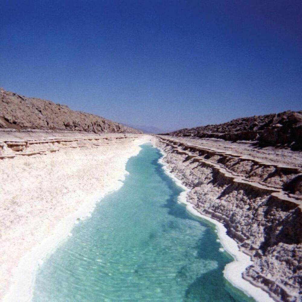 Picture of Oleva