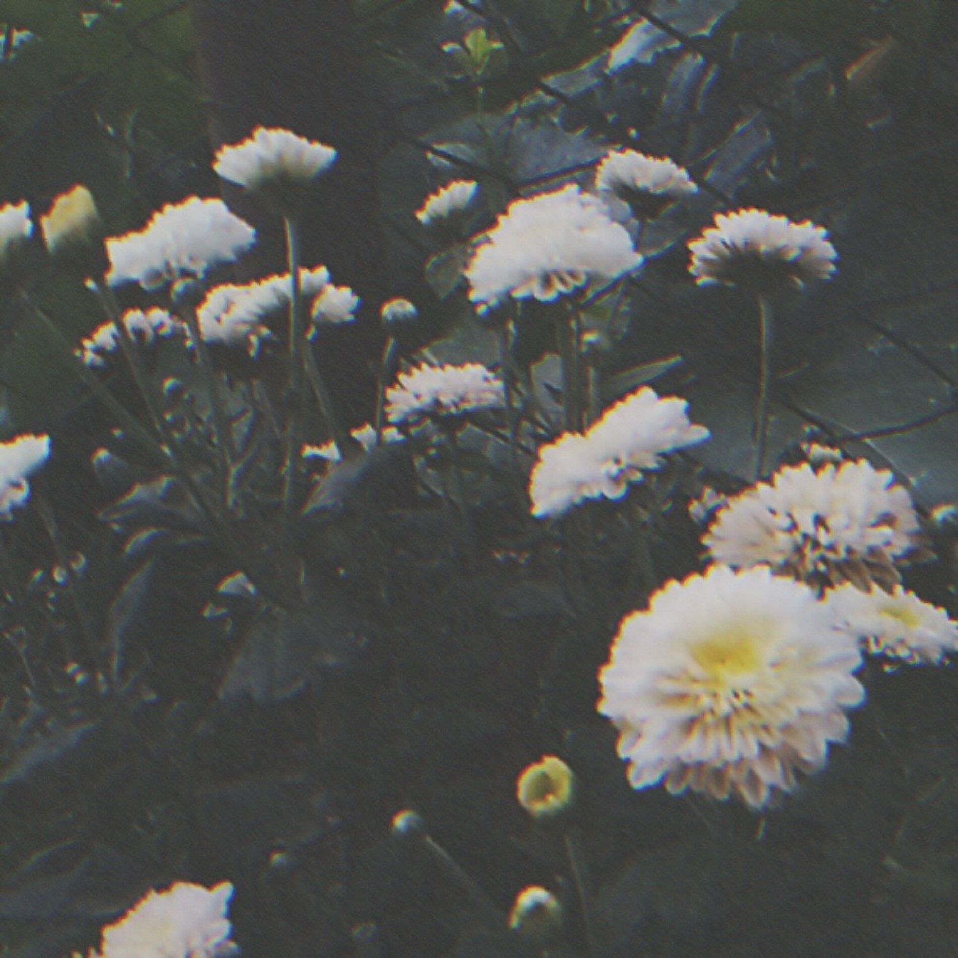 Album cover of Alone With U (feat. Scarlet House)