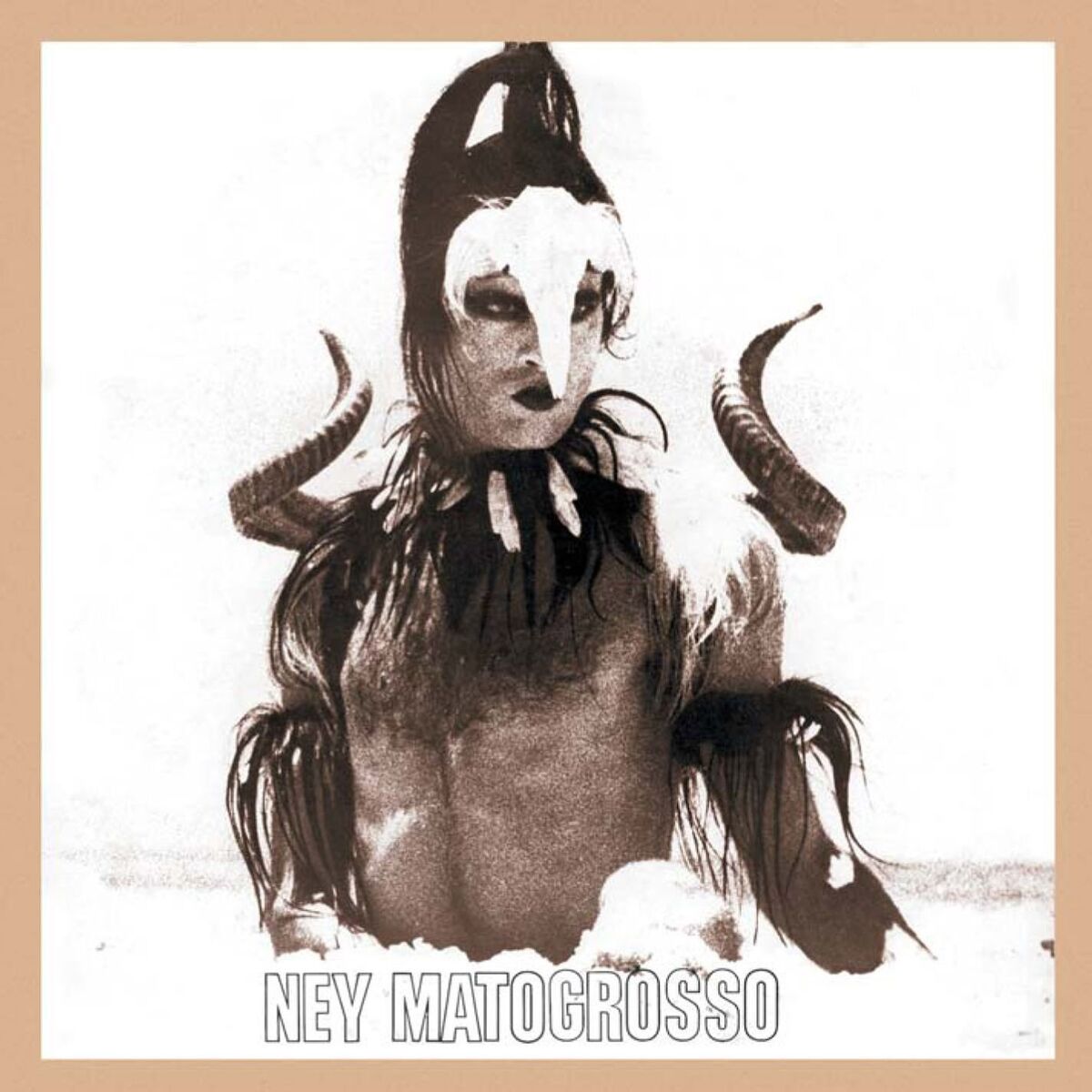 Album cover of Água do Céu - Pássaro (1975)