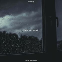 Cover of life's too short. - sped up