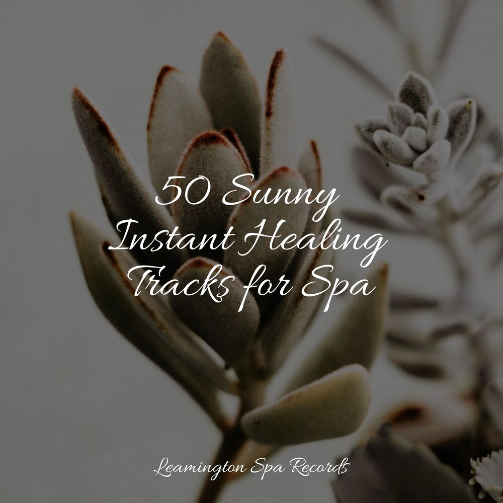 Picture of 50 Sunny Instant Healing Tracks for Spa