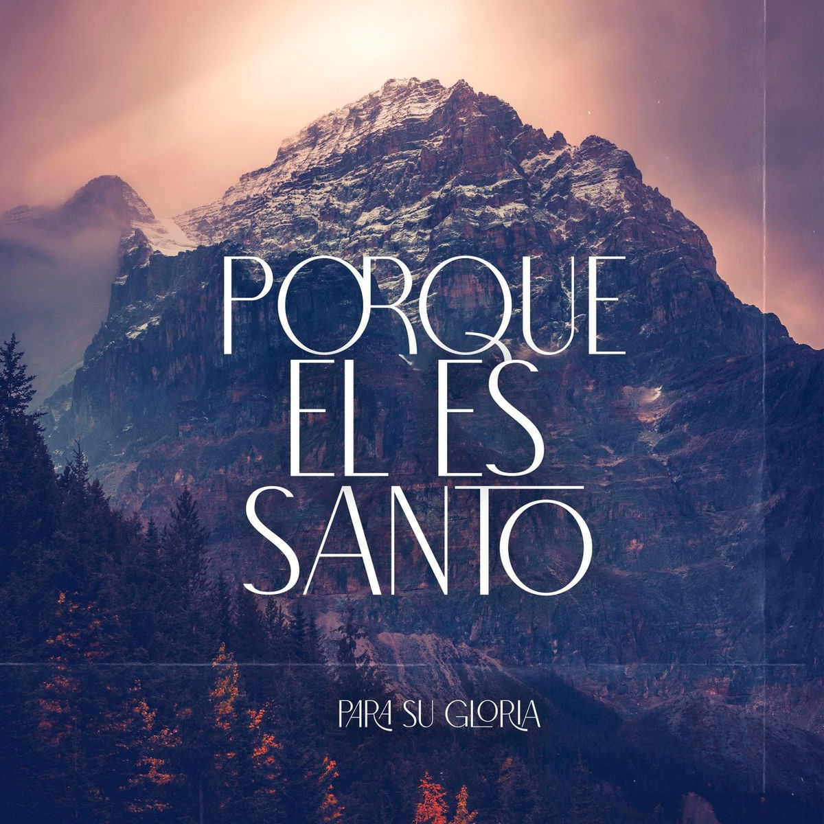 Album cover of Alabemos al Señor (Salmo 96) [En Vivo]