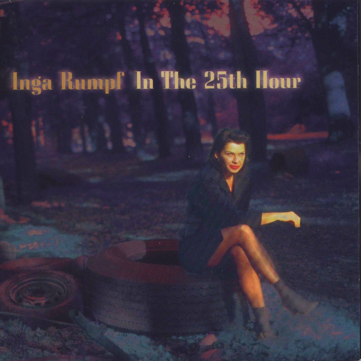 Album cover of In The 25th Hour