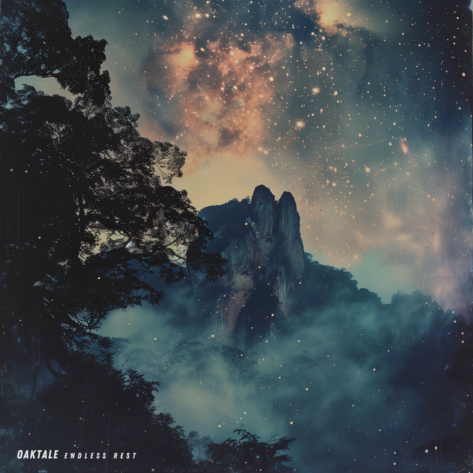 Album cover of Endless Rest