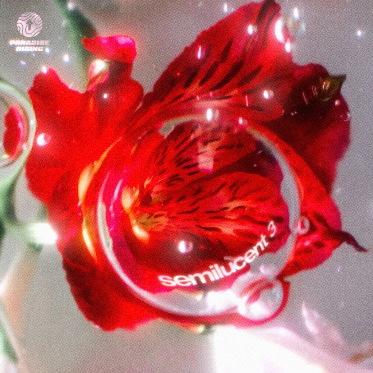 Album cover of semilucent 3