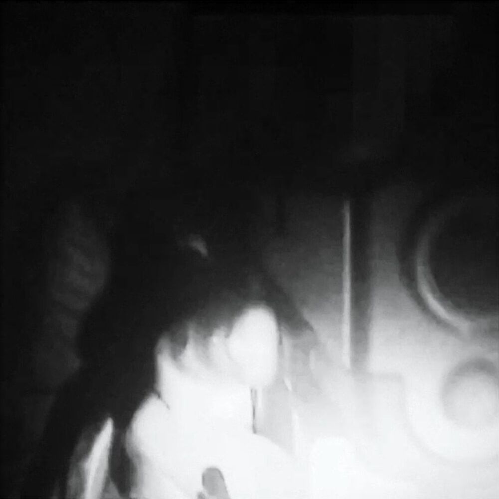 Picture of 17