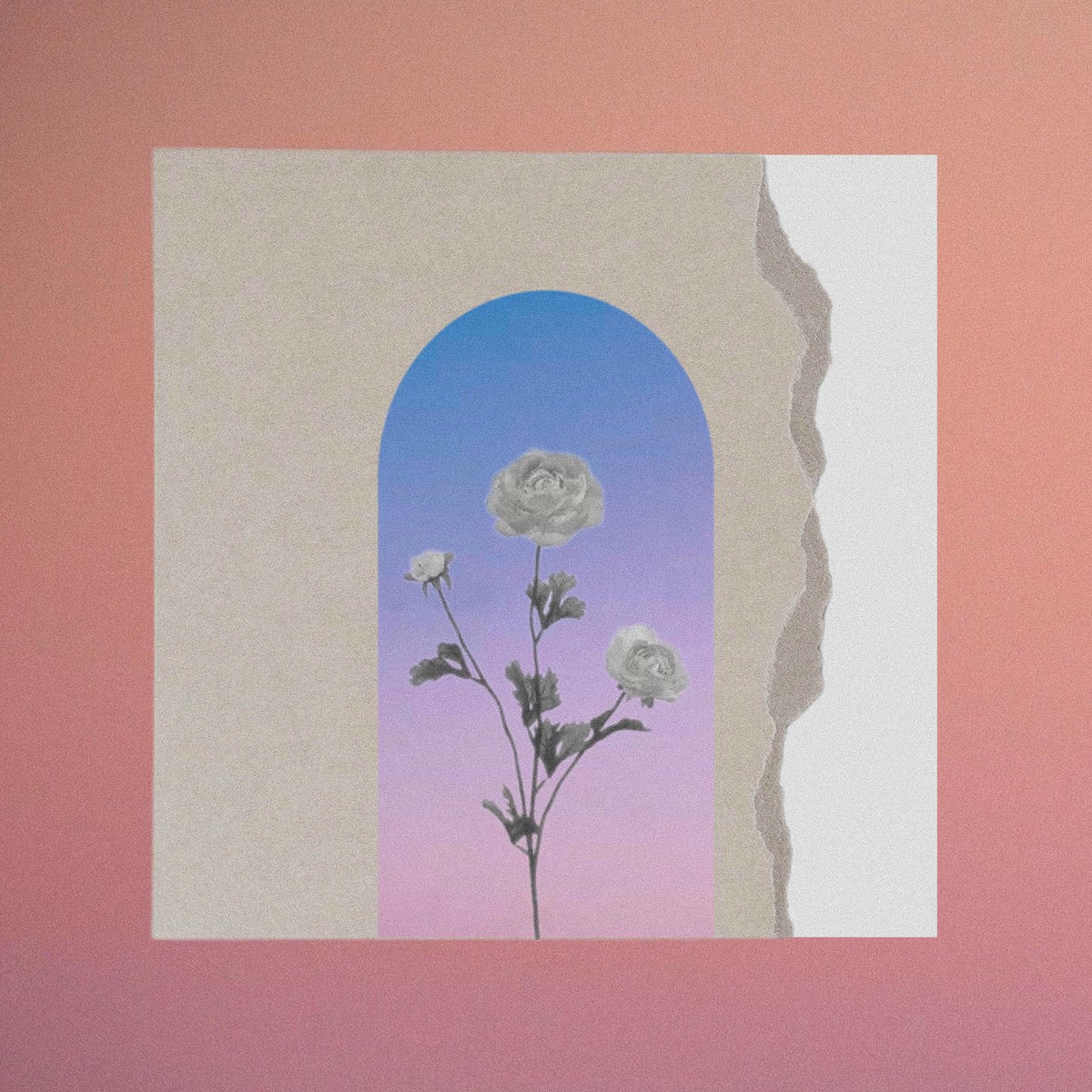 Album cover of Little Birds