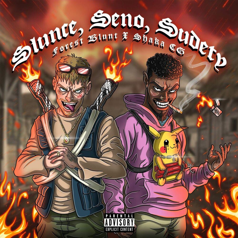 Picture of Slunce Seno Sudety