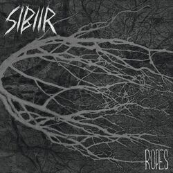 Cover of Ropes