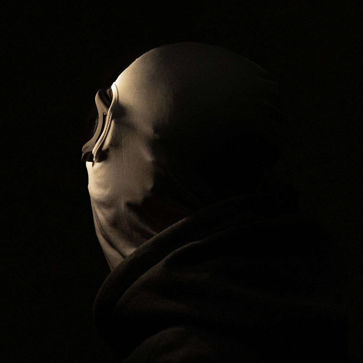 Album cover of For the Show