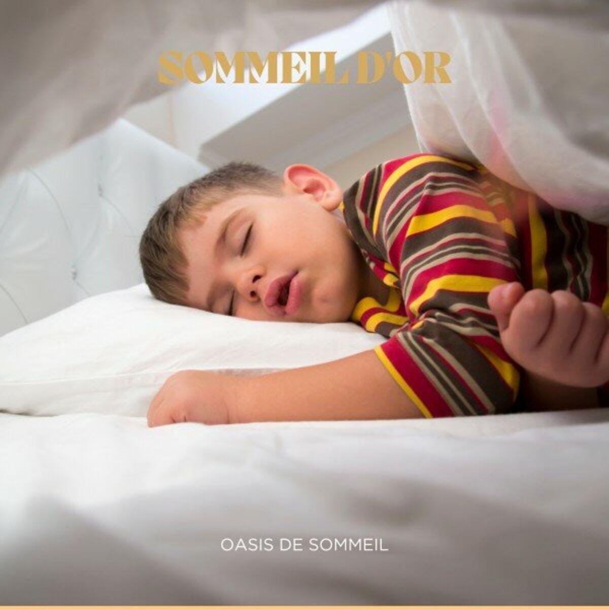 Album cover of Sommeil d Or: Dormir Profond