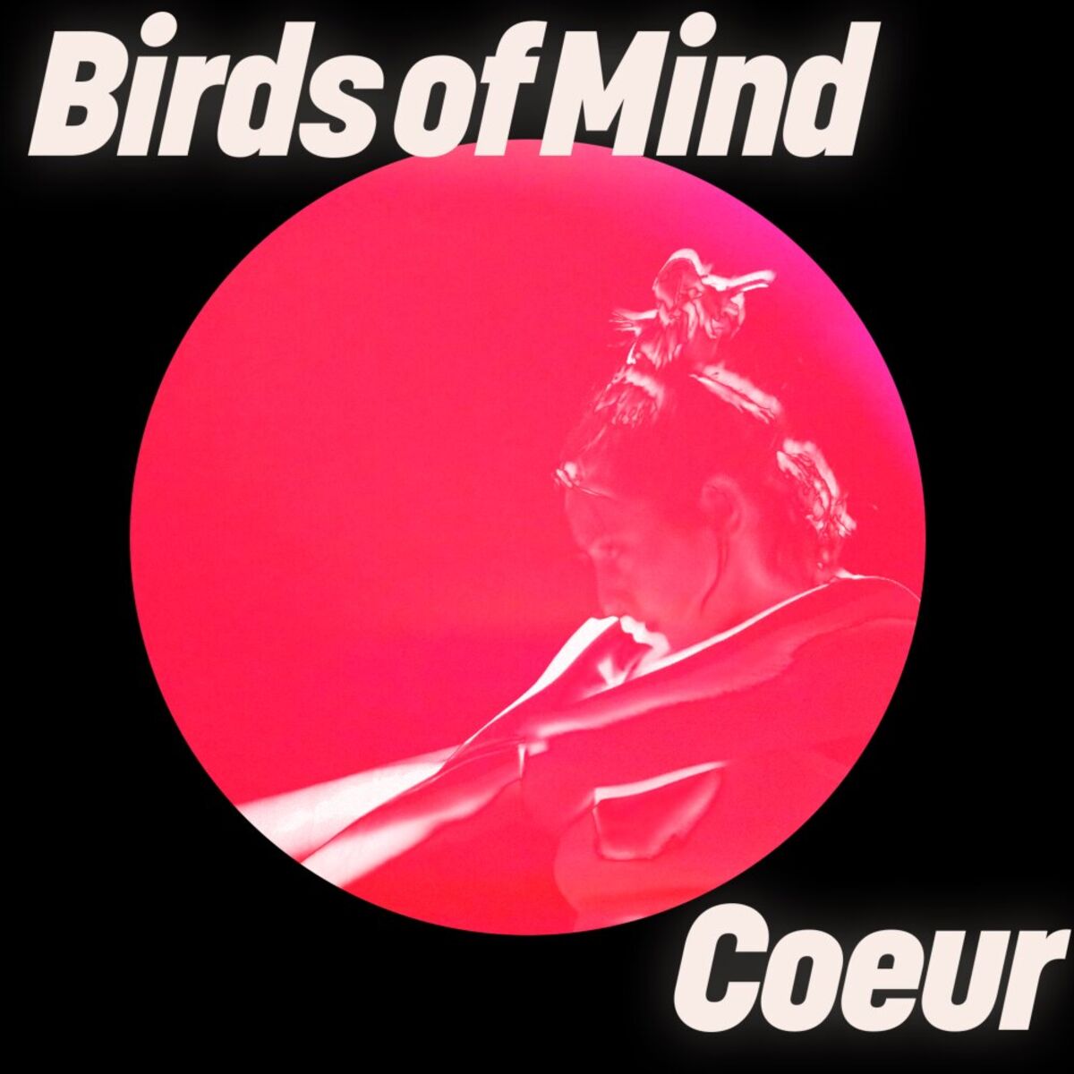 Album cover of Coeur