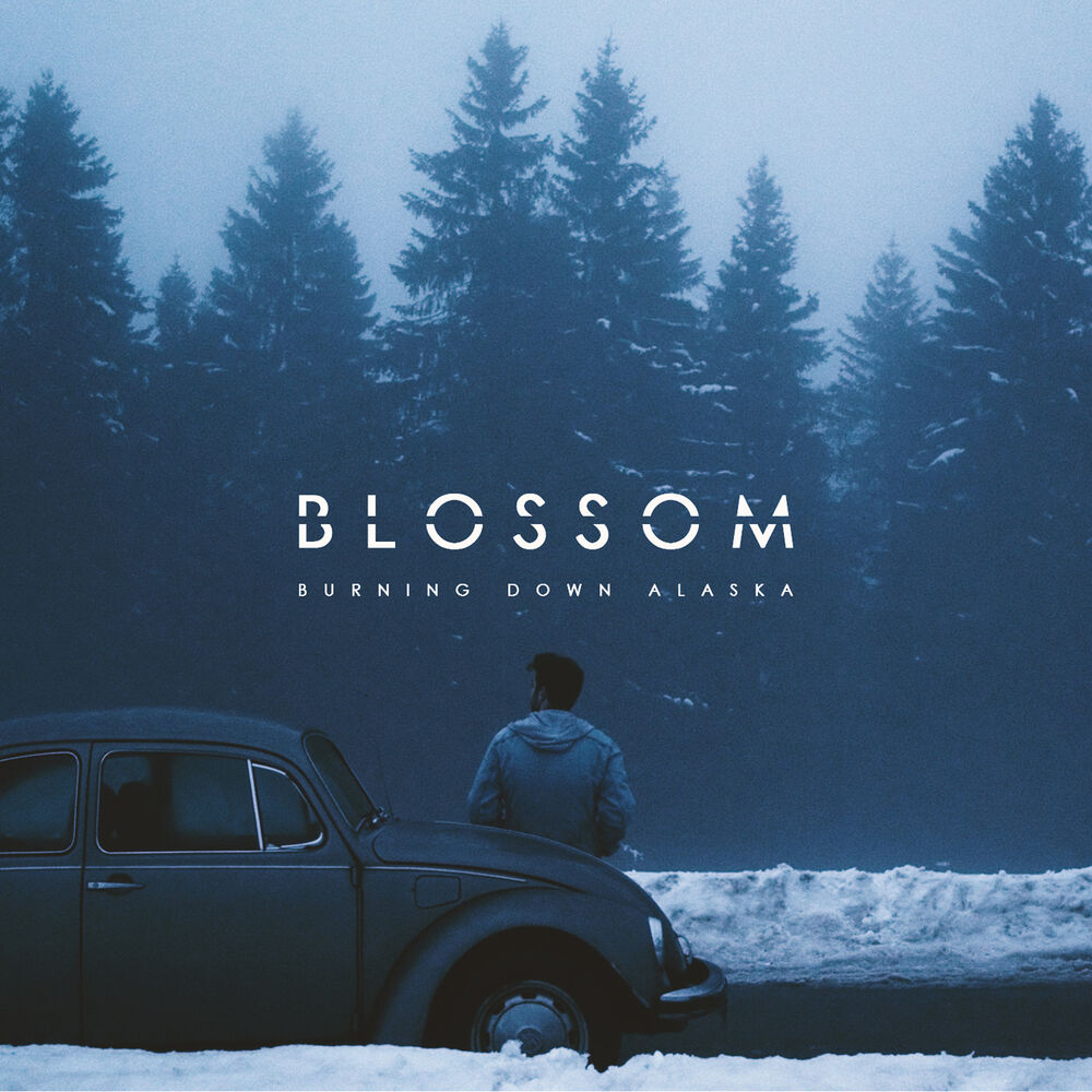 Picture of Blossom