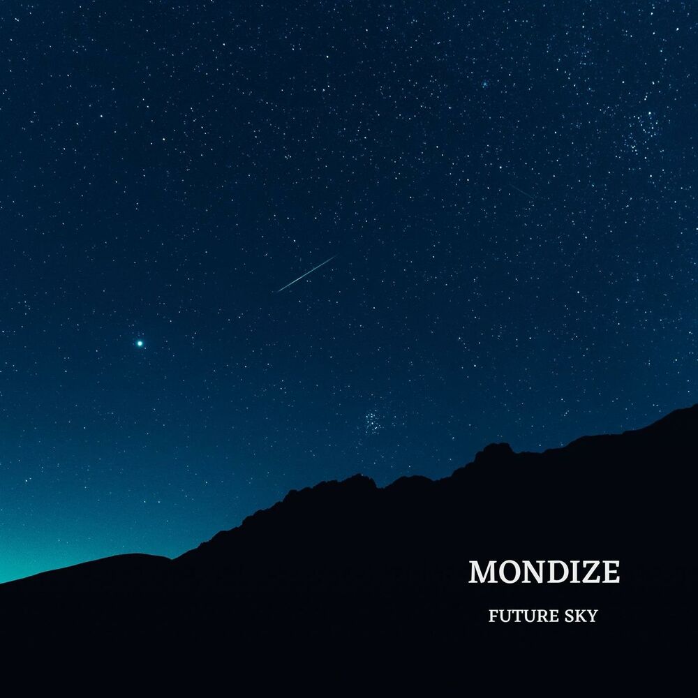 Picture of Mondize