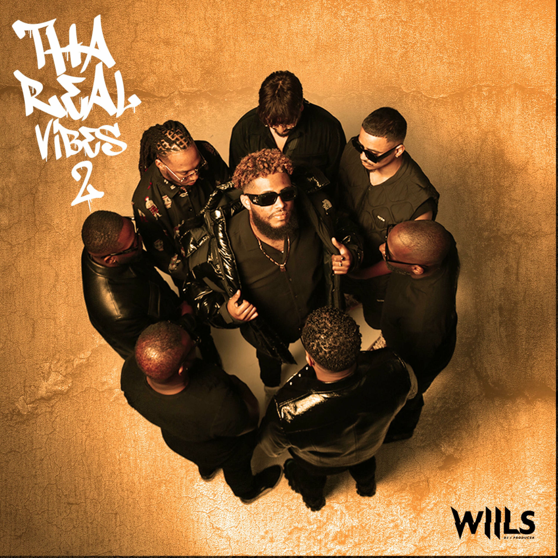 Album cover of THA REAL VIBES 2