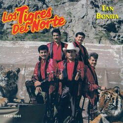 Cover of Tan Bonita