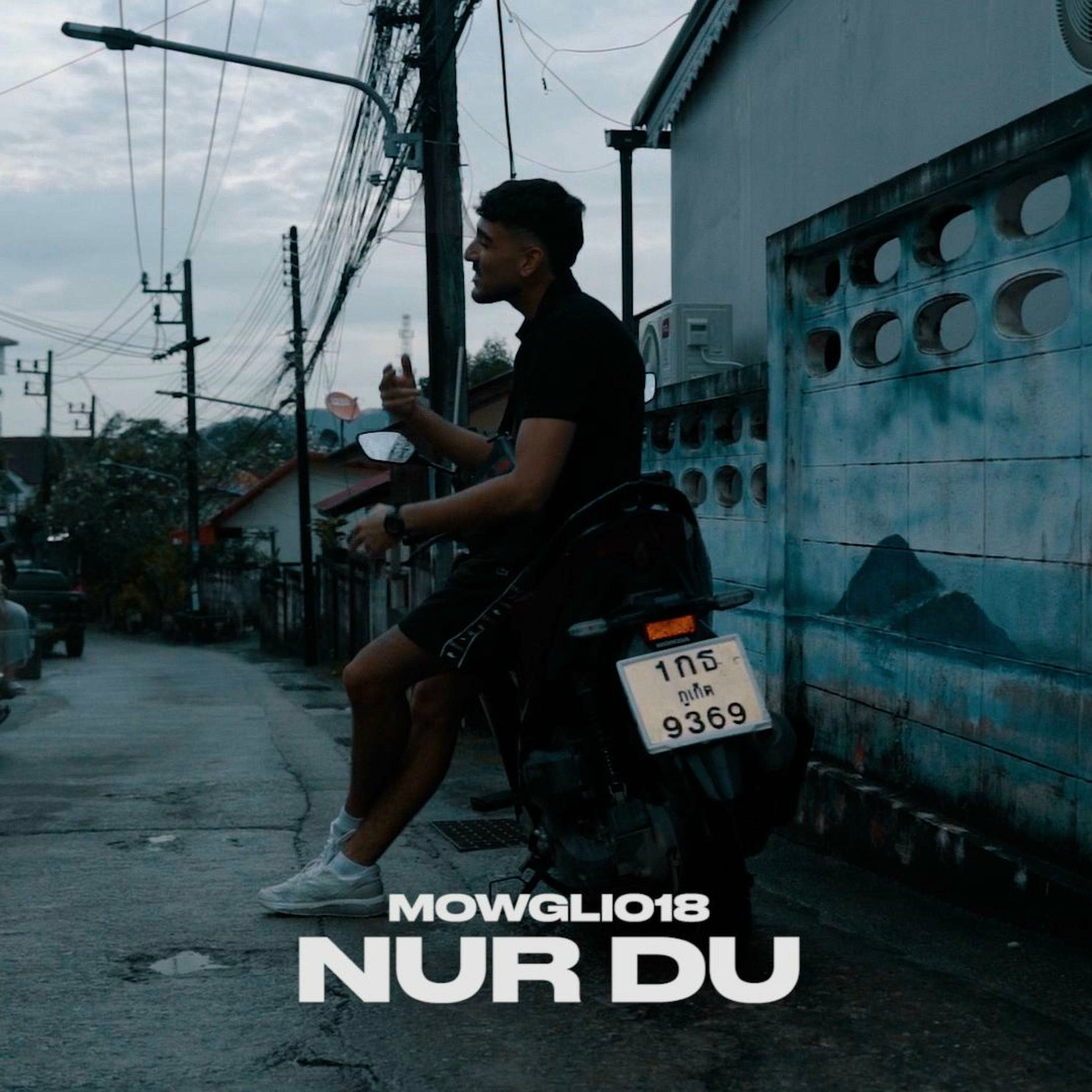 Album cover of Nur du