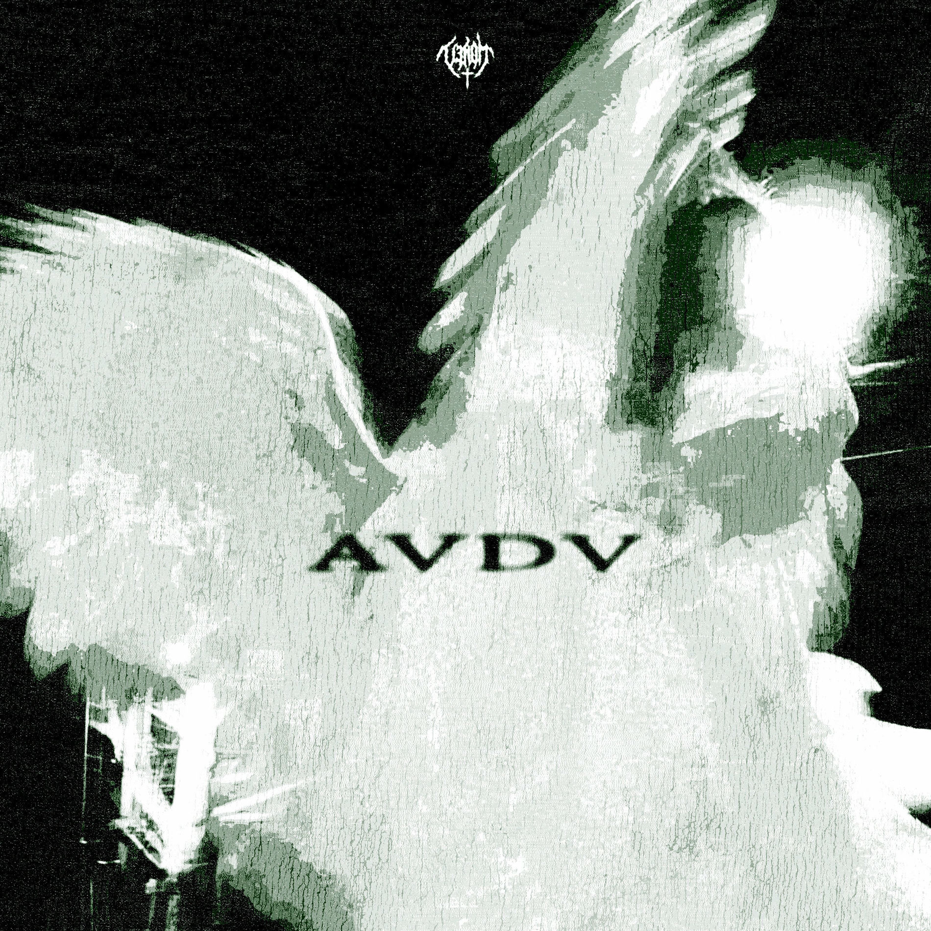 Album cover of AVDV