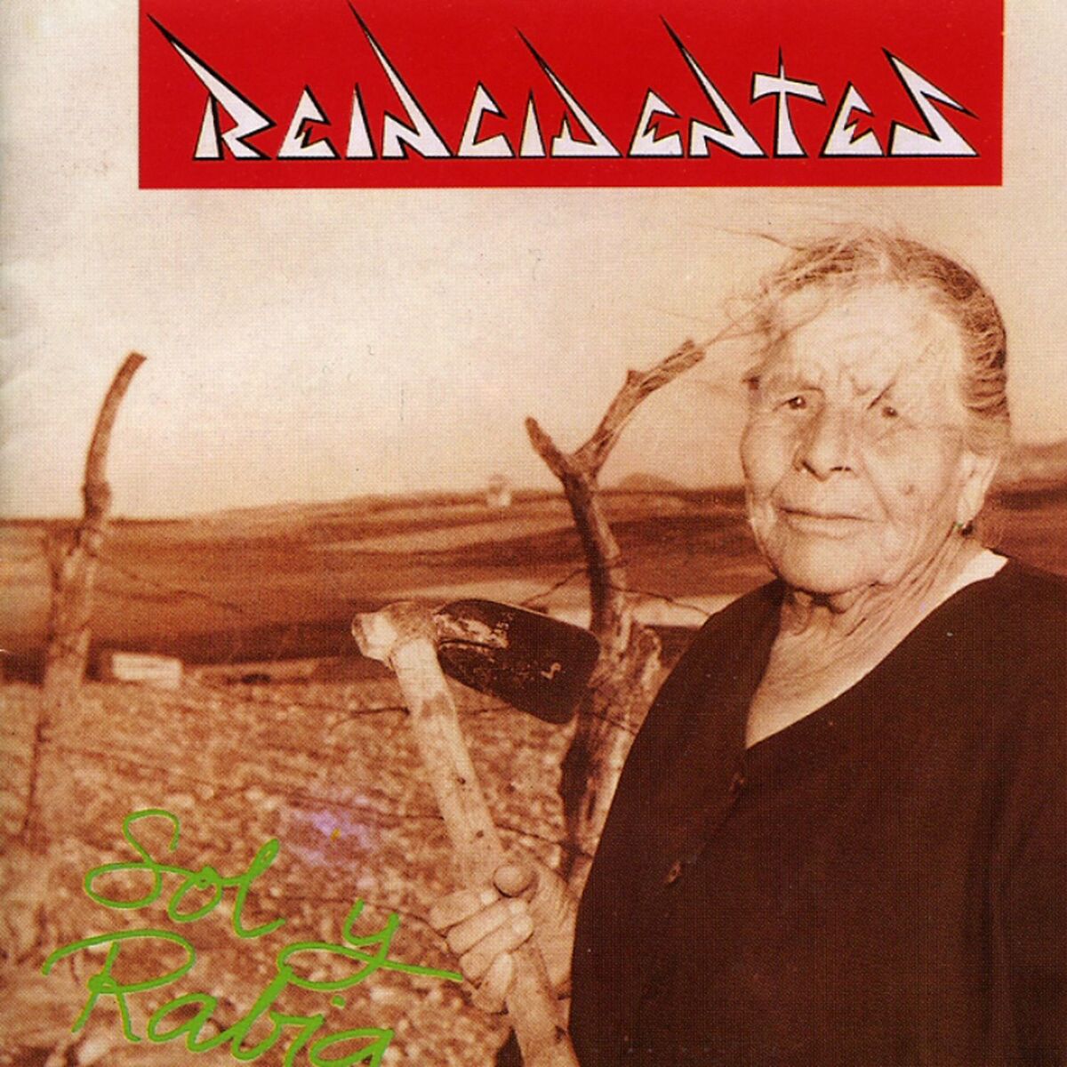 Album cover of Jartos d'Aguantar