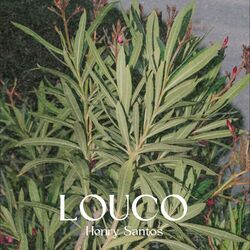 Cover of Louco