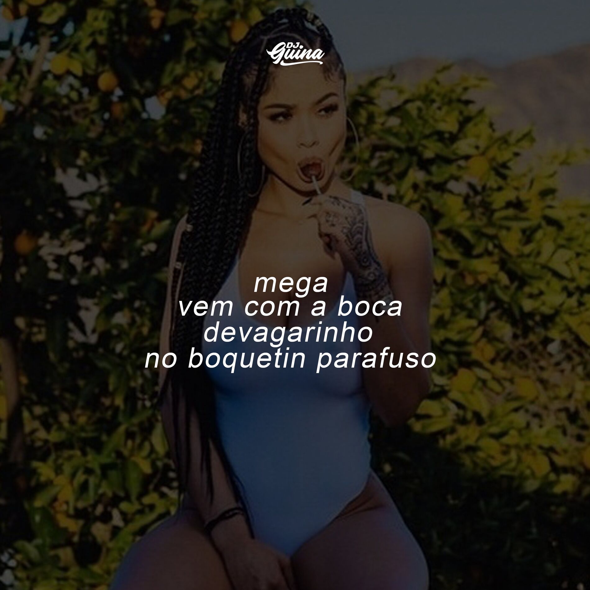 Album cover of Mega Vem Com a Boca Devagarinho no Boquetin Parafuso